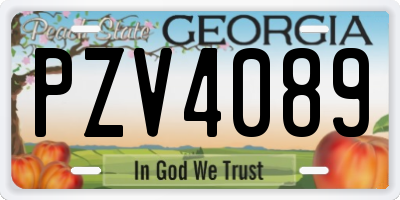 GA license plate PZV4089