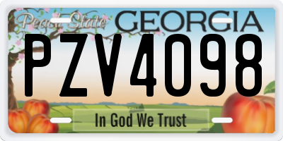 GA license plate PZV4098