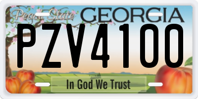 GA license plate PZV4100