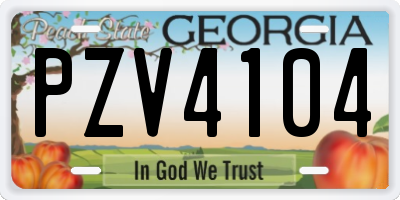GA license plate PZV4104