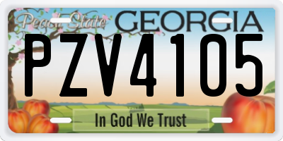 GA license plate PZV4105