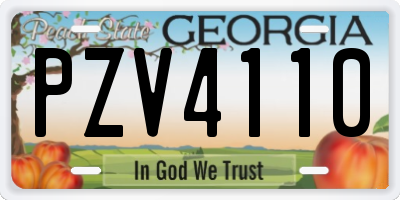 GA license plate PZV4110