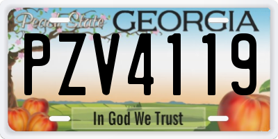 GA license plate PZV4119