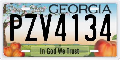 GA license plate PZV4134