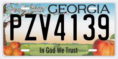 GA license plate PZV4139
