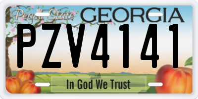 GA license plate PZV4141