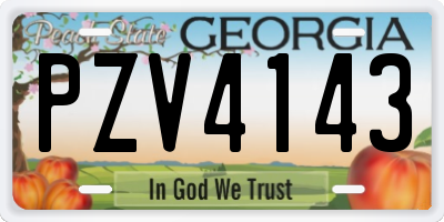 GA license plate PZV4143