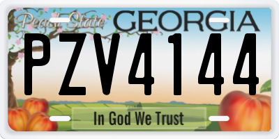 GA license plate PZV4144