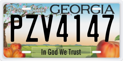 GA license plate PZV4147