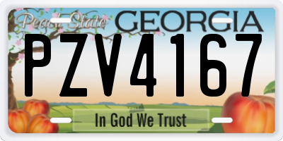 GA license plate PZV4167
