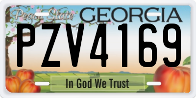GA license plate PZV4169