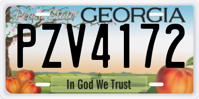GA license plate PZV4172
