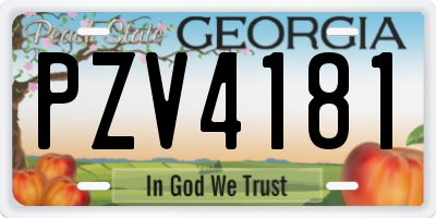 GA license plate PZV4181