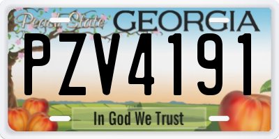 GA license plate PZV4191