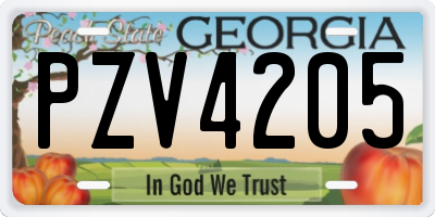 GA license plate PZV4205