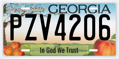 GA license plate PZV4206
