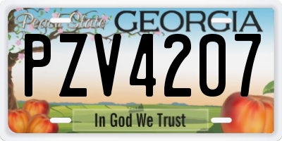 GA license plate PZV4207
