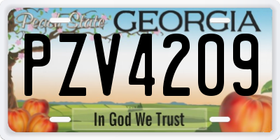 GA license plate PZV4209