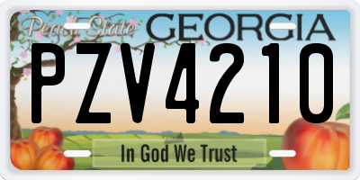 GA license plate PZV4210