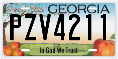 GA license plate PZV4211