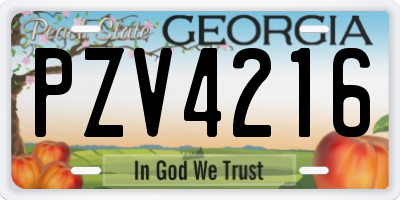 GA license plate PZV4216