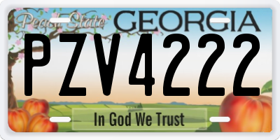 GA license plate PZV4222