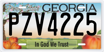 GA license plate PZV4225