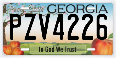 GA license plate PZV4226