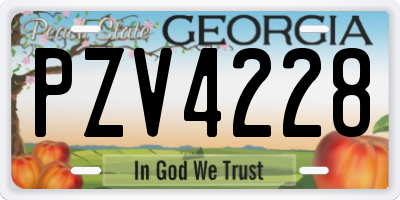GA license plate PZV4228
