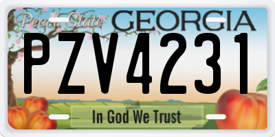 GA license plate PZV4231