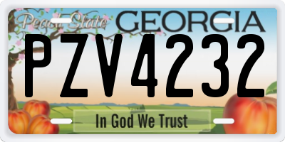 GA license plate PZV4232
