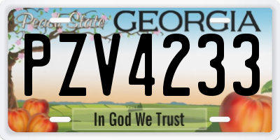 GA license plate PZV4233