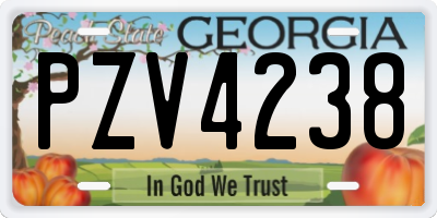 GA license plate PZV4238