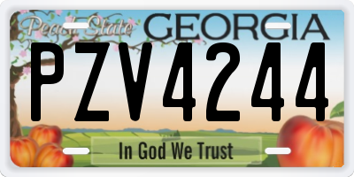 GA license plate PZV4244