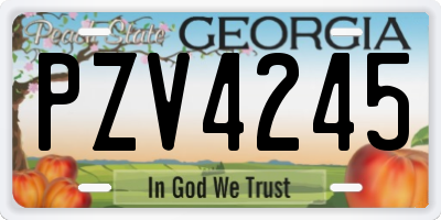 GA license plate PZV4245