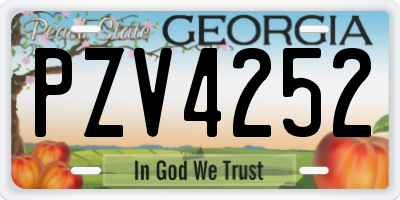 GA license plate PZV4252