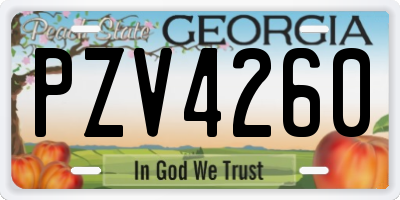 GA license plate PZV4260