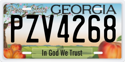 GA license plate PZV4268