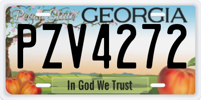 GA license plate PZV4272