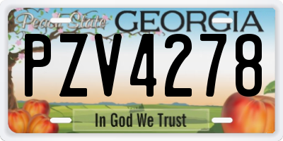GA license plate PZV4278