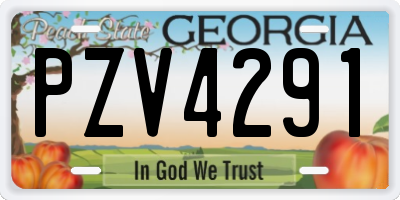 GA license plate PZV4291