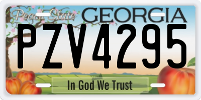 GA license plate PZV4295