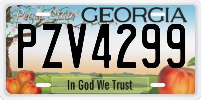 GA license plate PZV4299