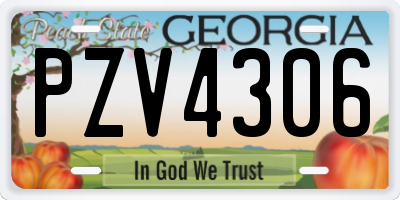 GA license plate PZV4306