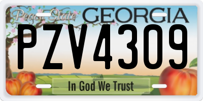 GA license plate PZV4309