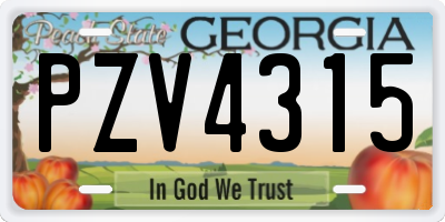 GA license plate PZV4315