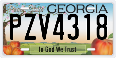 GA license plate PZV4318