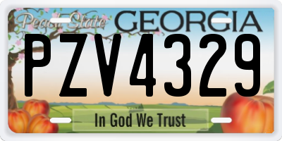 GA license plate PZV4329