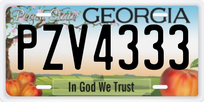 GA license plate PZV4333
