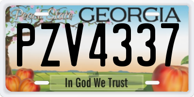 GA license plate PZV4337